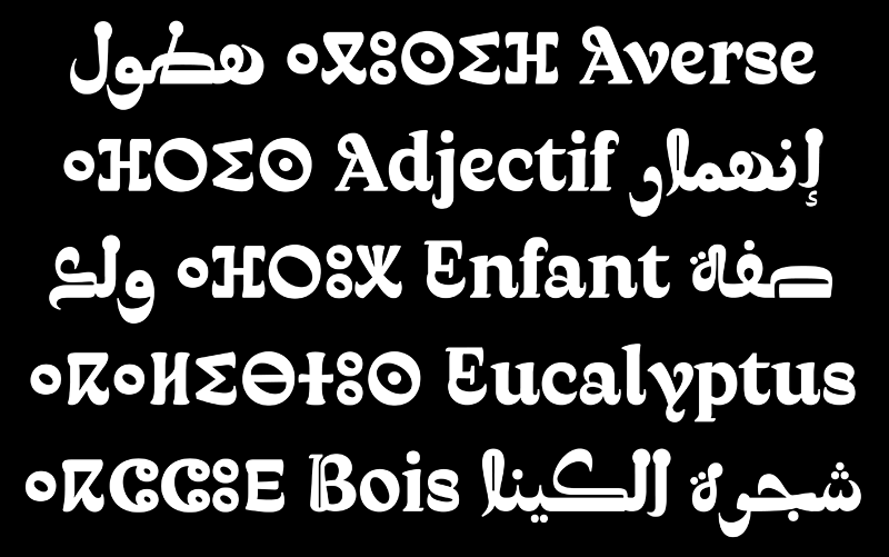 Comparison slide of Latin, Arabic, and Tifinagh characters showing typographic harmonization from the Qandus project.